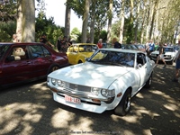 Cars 'n Coffee aan het water Kapelle-op-den-Bos -  2 augustus 2026