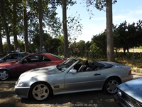 Cars 'n Coffee aan het water Kapelle-op-den-Bos -  2 augustus 2026