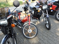 Cars 'n Coffee aan het water Kapelle-op-den-Bos -  2 augustus 2026