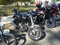 Cars 'n Coffee aan het water Kapelle-op-den-Bos -  2 augustus 2026