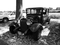 Cars 'n Coffee aan het water Kapelle-op-den-Bos -  2 augustus 2026