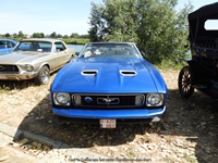 Cars 'n Coffee aan het water Kapelle-op-den-Bos -  2 augustus 2026