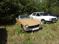 Cars 'n Coffee aan het water Kapelle-op-den-Bos -  2 augustus 2026