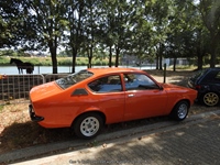 Cars 'n Coffee aan het water Kapelle-op-den-Bos -  2 augustus 2026