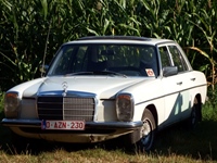Oldtimers Muze Olen -  5 augustus 2026