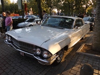 Classic Cars Peer Ford thema -  6 augustus 2026