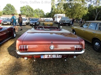 Cars, Coffee & More vzw - Noorderwijk -  11 augustus 2026