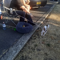 Classic Summer Meet -  12 augustus 2026