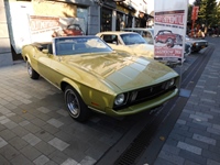 Oldtimertreffen Lommel -  12 augustus 2026