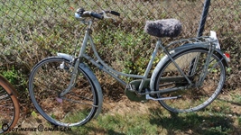 Mosselrit d'Antieke Velokes -  8 augustus 2026