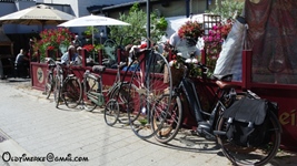 Mosselrit d'Antieke Velokes -  8 augustus 2026