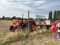 Hagelands oldtimer treffen Meensel-Kiezegem -  15 augustus 2026