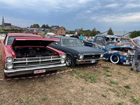 Hagelands oldtimer treffen Meensel-Kiezegem -  15 augustus 2026