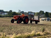 Hagelands oldtimer treffen Meensel-Kiezegem -  15 augustus 2026