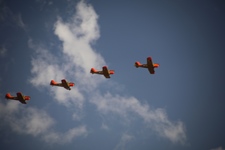 Fly In Zoersel Malle -  22 augustus 2026