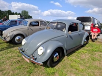 Classic cars, burgers and more Holsbeek -  23 augustus 2026