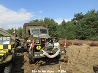 Fly-In & Airshow - Malle -  23 augustus 2026