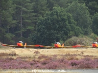 Fly-In & Airshow - Malle -  23 augustus 2026