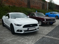 BMCC Meeting Belgian Mustang & Cougar Club in Hemiksem -  30 augustus 2026