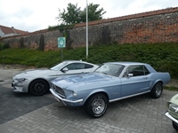 BMCC Meeting Belgian Mustang & Cougar Club in Hemiksem -  30 augustus 2026