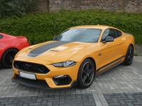 BMCC Meeting Belgian Mustang & Cougar Club in Hemiksem -  30 augustus 2026
