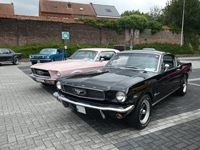 BMCC Meeting Belgian Mustang & Cougar Club in Hemiksem -  30 augustus 2026