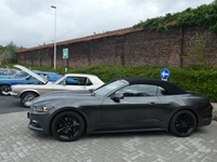 BMCC Meeting Belgian Mustang & Cougar Club in Hemiksem -  30 augustus 2026