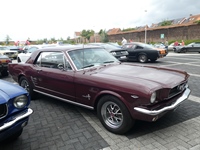 BMCC Meeting Belgian Mustang & Cougar Club in Hemiksem -  30 augustus 2026