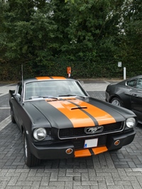 BMCC Meeting Belgian Mustang & Cougar Club in Hemiksem -  30 augustus 2026
