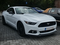 BMCC Meeting Belgian Mustang & Cougar Club in Hemiksem -  30 augustus 2026