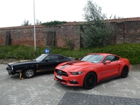 BMCC Meeting Belgian Mustang & Cougar Club in Hemiksem -  30 augustus 2026