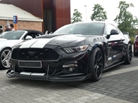 BMCC Meeting Belgian Mustang & Cougar Club in Hemiksem -  30 augustus 2026