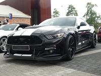BMCC Meeting Belgian Mustang & Cougar Club in Hemiksem -  30 augustus 2026