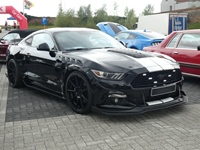 BMCC Meeting Belgian Mustang & Cougar Club in Hemiksem -  30 augustus 2026