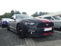 BMCC Meeting Belgian Mustang & Cougar Club in Hemiksem -  30 augustus 2026