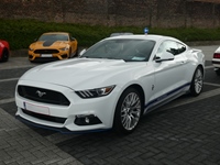 BMCC Meeting Belgian Mustang & Cougar Club in Hemiksem -  30 augustus 2026