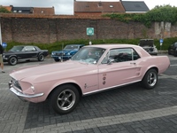 BMCC Meeting Belgian Mustang & Cougar Club in Hemiksem -  30 augustus 2026