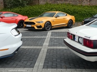 BMCC Meeting Belgian Mustang & Cougar Club in Hemiksem -  30 augustus 2026