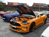 BMCC Meeting Belgian Mustang & Cougar Club in Hemiksem -  30 augustus 2026