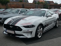 BMCC Meeting Belgian Mustang & Cougar Club in Hemiksem -  30 augustus 2026