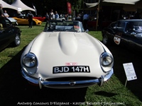 Antwerp Concours D'Elegance - Kasteel Belvédère (Wijnegem) -  6 september 2026