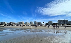 DePanne4cars -  6 september 2026