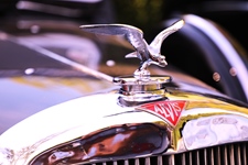 Antwerp Concours Wijnegem -  6 september 2026