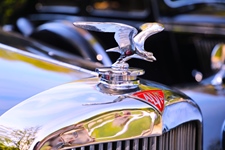 Antwerp Concours Wijnegem -  6 september 2026