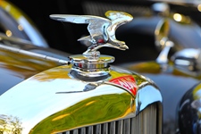 Antwerp Concours Wijnegem -  6 september 2026
