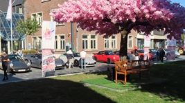 Porsche treffen Lommel -  6 september 2026