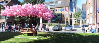 Porsche treffen Lommel -  6 september 2026