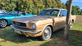 Antwerp Concours -  6 september 2026