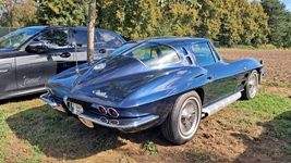 Antwerp Concours -  6 september 2026