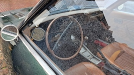 Schotense oldtimer meeting -  13 september 2026